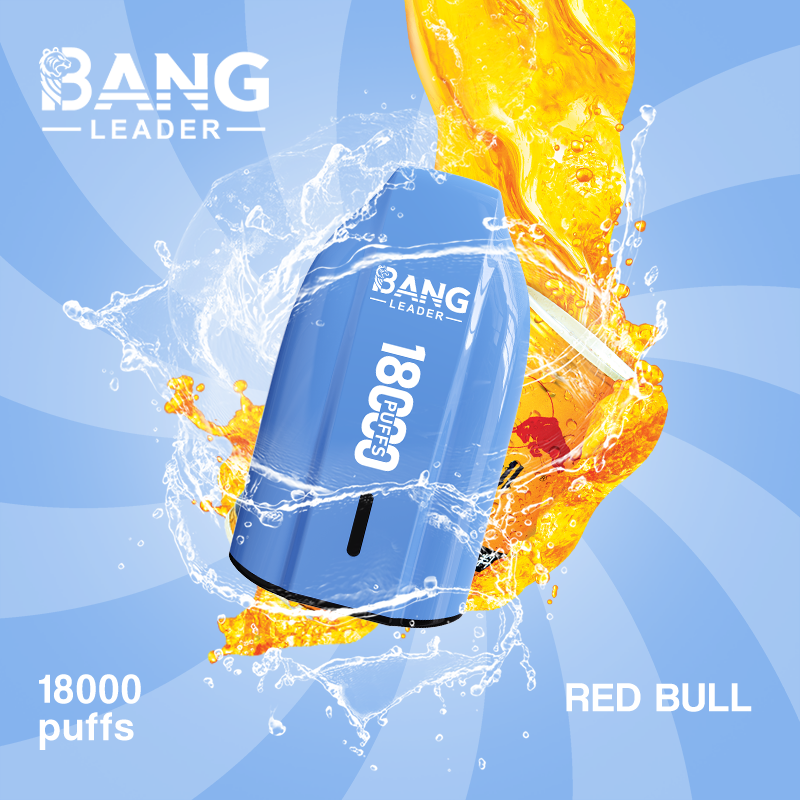[Minimum order of two]Bang Leader 18K Puffs Prefilled Vape |  Rechargeable