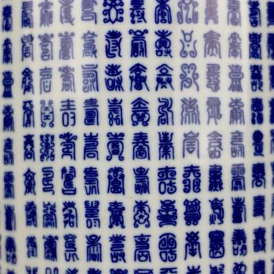 45CM Qianlong Signed Old Chinese Blue and White Vase w/Shou N3928