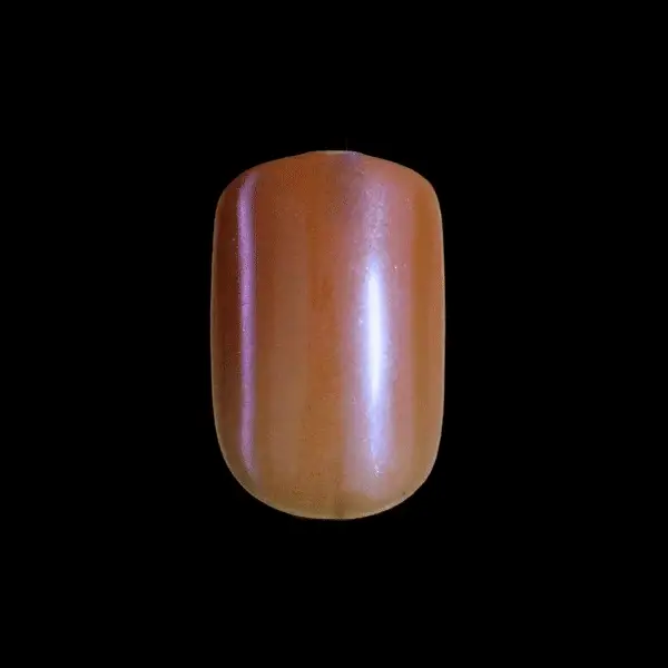 colorFX by imPRESS Press On Nails - Distraction