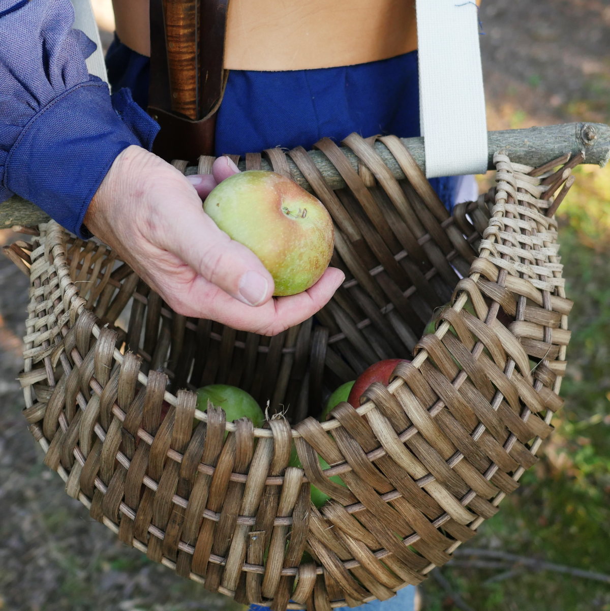 Woven Basket