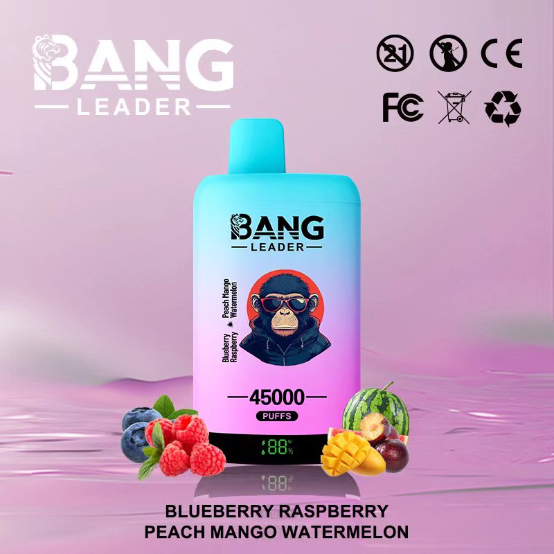 [Minimum order of two]Bang Leader 45K Puffs 2-in-1 Prefilled Vape | Dual Flavor,  Rechargeable