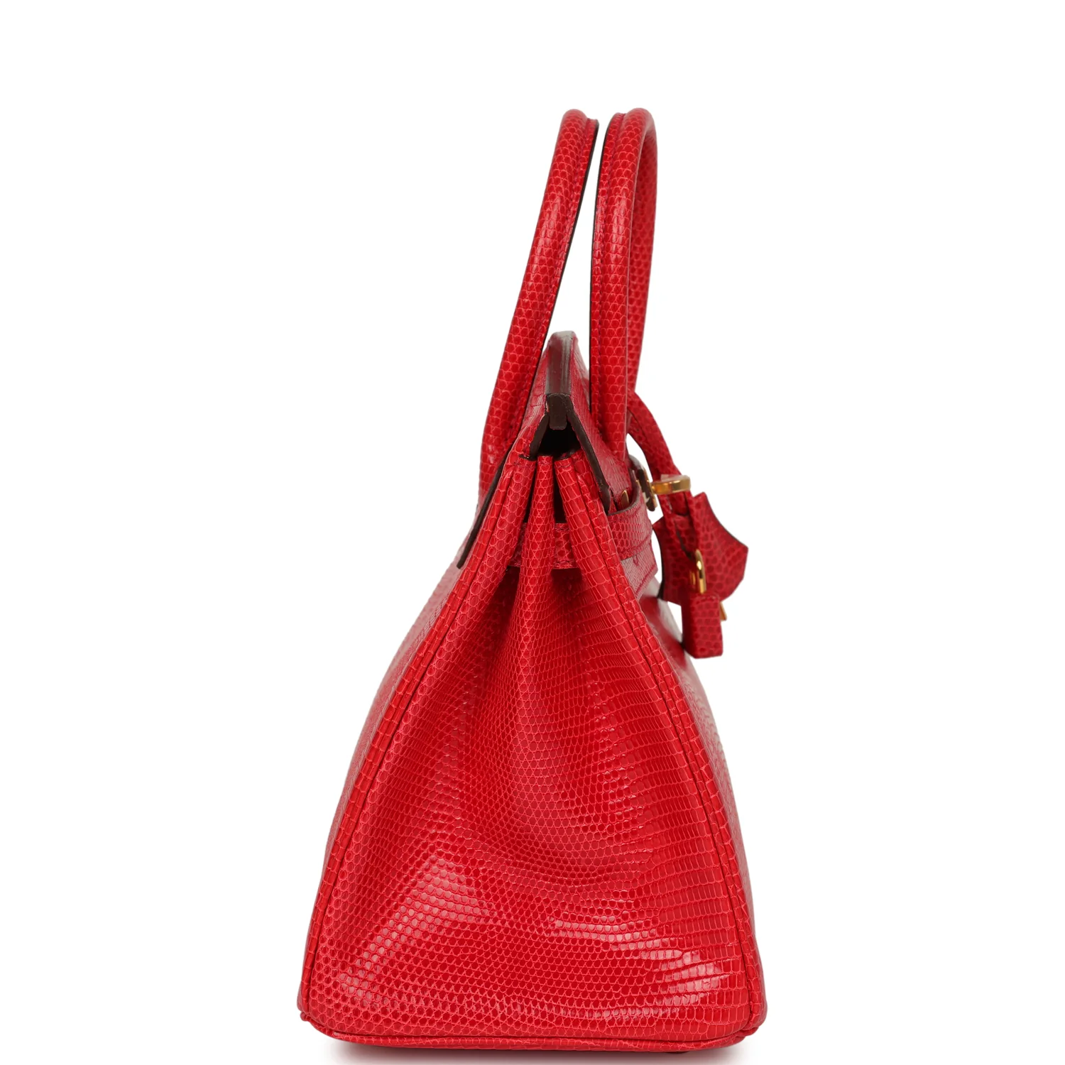 Hermes Birkin 25 Bougainvillea Shiny Varanus Niloticus Lizard Gold Hardware