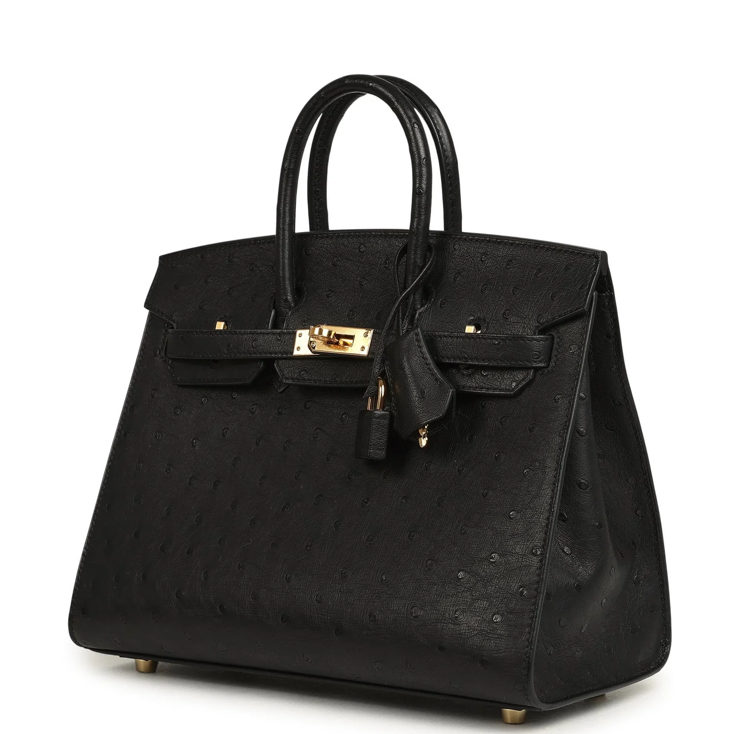 Hermes Birkin Sellier 25 Black Ostrich Gold Hardware