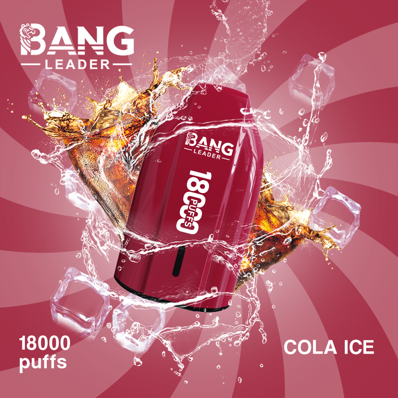 [Minimum order of two]Bang Leader 18K Puffs Prefilled Vape |  Rechargeable