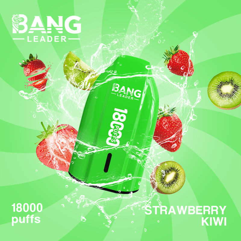 [Minimum order of two]Bang Leader 18K Puffs Prefilled Vape |  Rechargeable