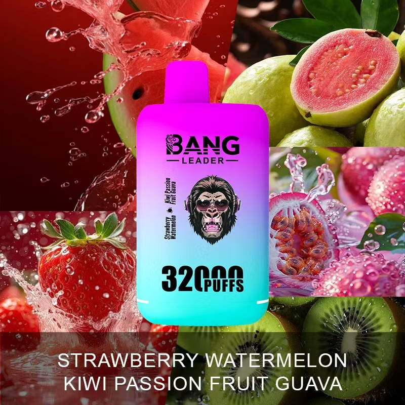 [Minimum order of two]Bang Leader 32K Puffs 2-in-1 Prefilled Vape | Dual Flavor,  Rechargeable