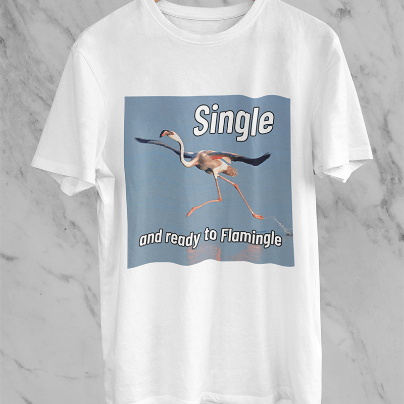 Single And Ready To Flamingle T-shirt