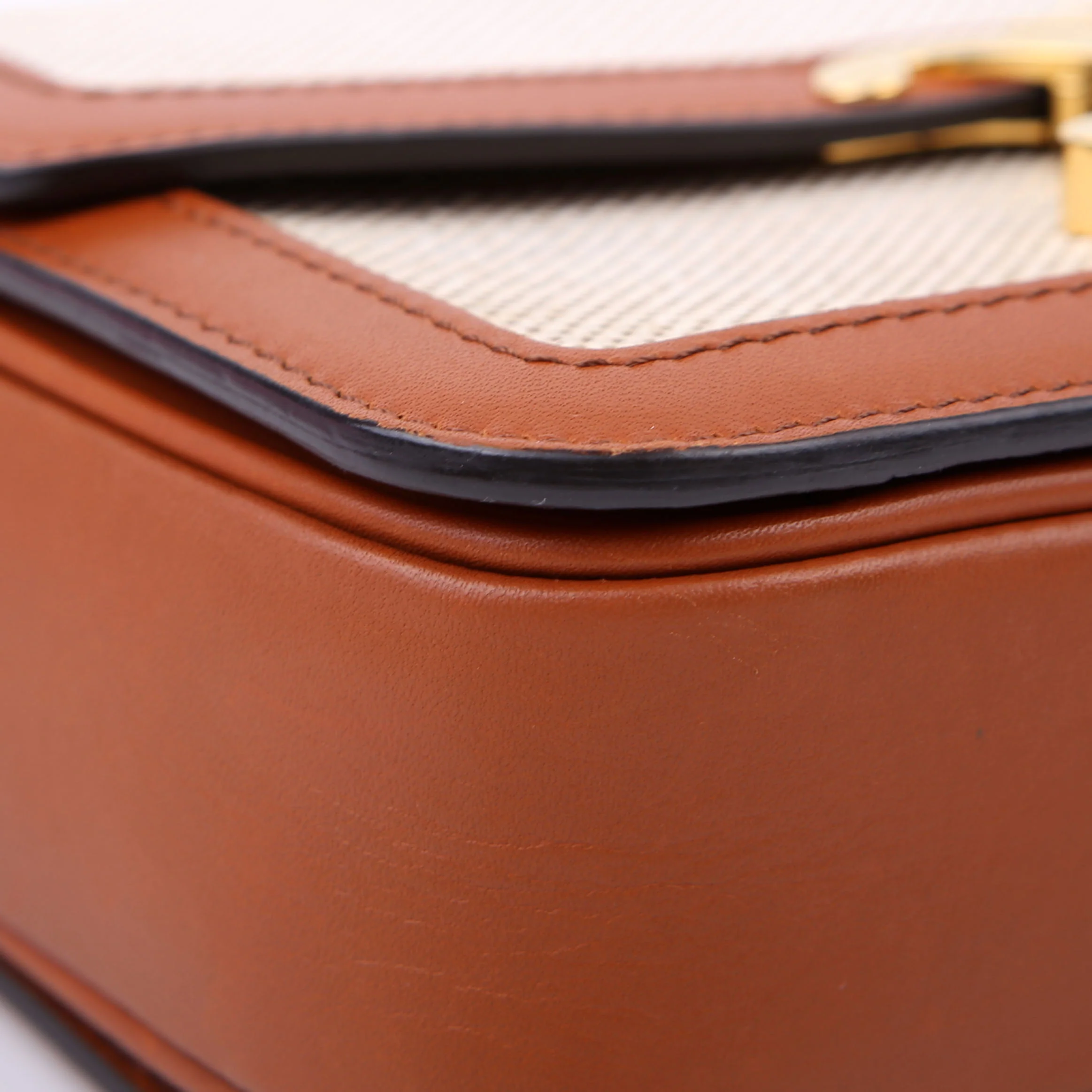 Teen Triomphe Bag Triomphe Canvas/Calfskin Brown