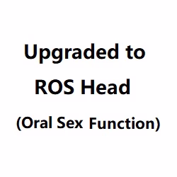 Irontech Upgraded to ROS Head Option