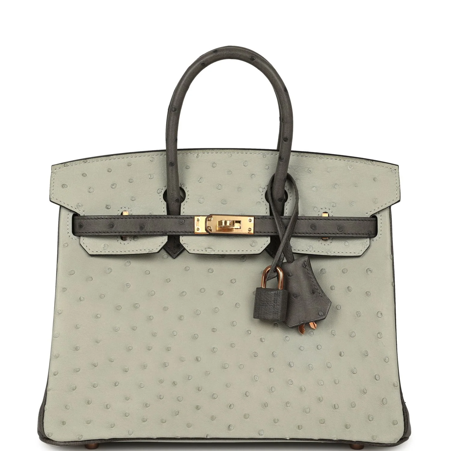 HERMÈS Special Order (HSS) Birkin 25 Gris Perle, Graphite Ostrich Rose Gold Hardware