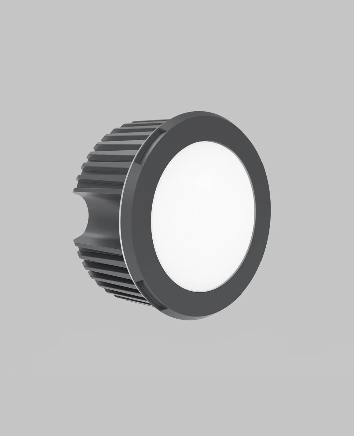 Light Module