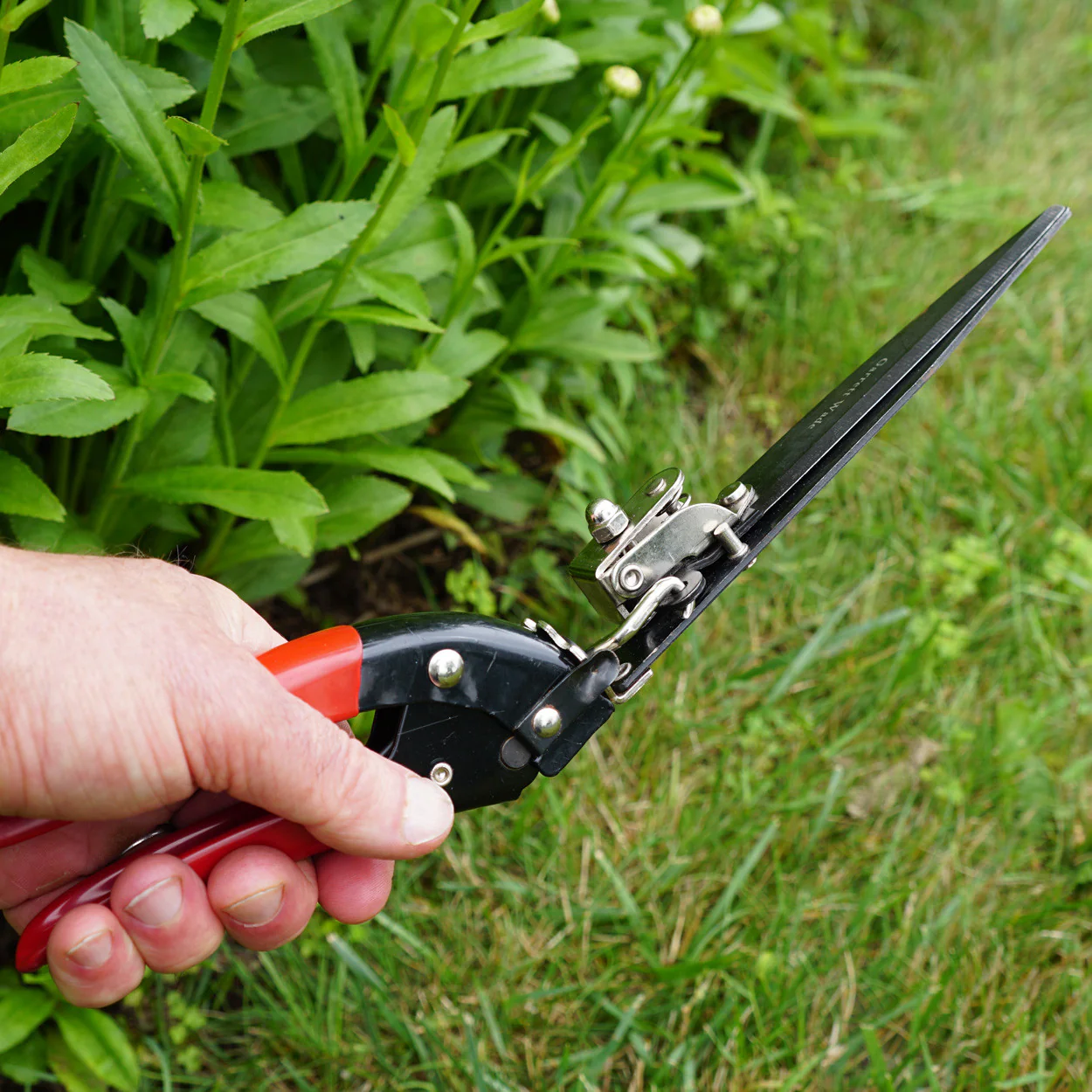 Grass Trimming Shears