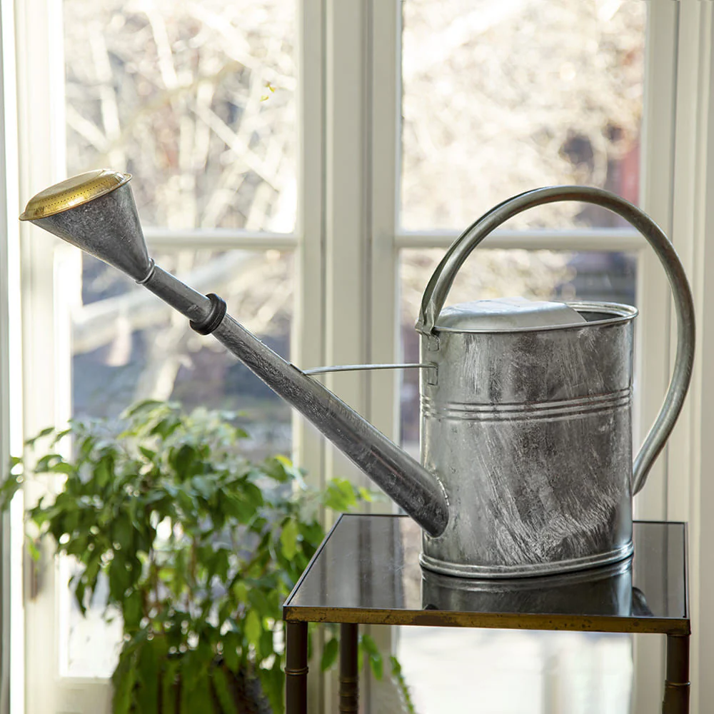 2-Gallon Oval Watering Can With Brass Rose