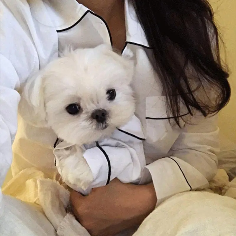 Good night Pyjamas