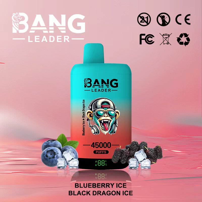 [Minimum order of two]Bang Leader 45K Puffs 2-in-1 Prefilled Vape | Dual Flavor,  Rechargeable