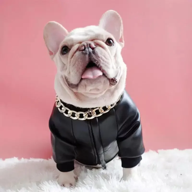 Motorcycle Pets Jacket