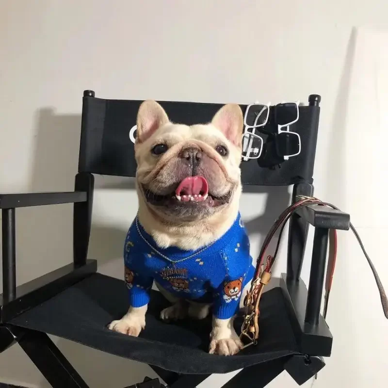Pet Wool Top