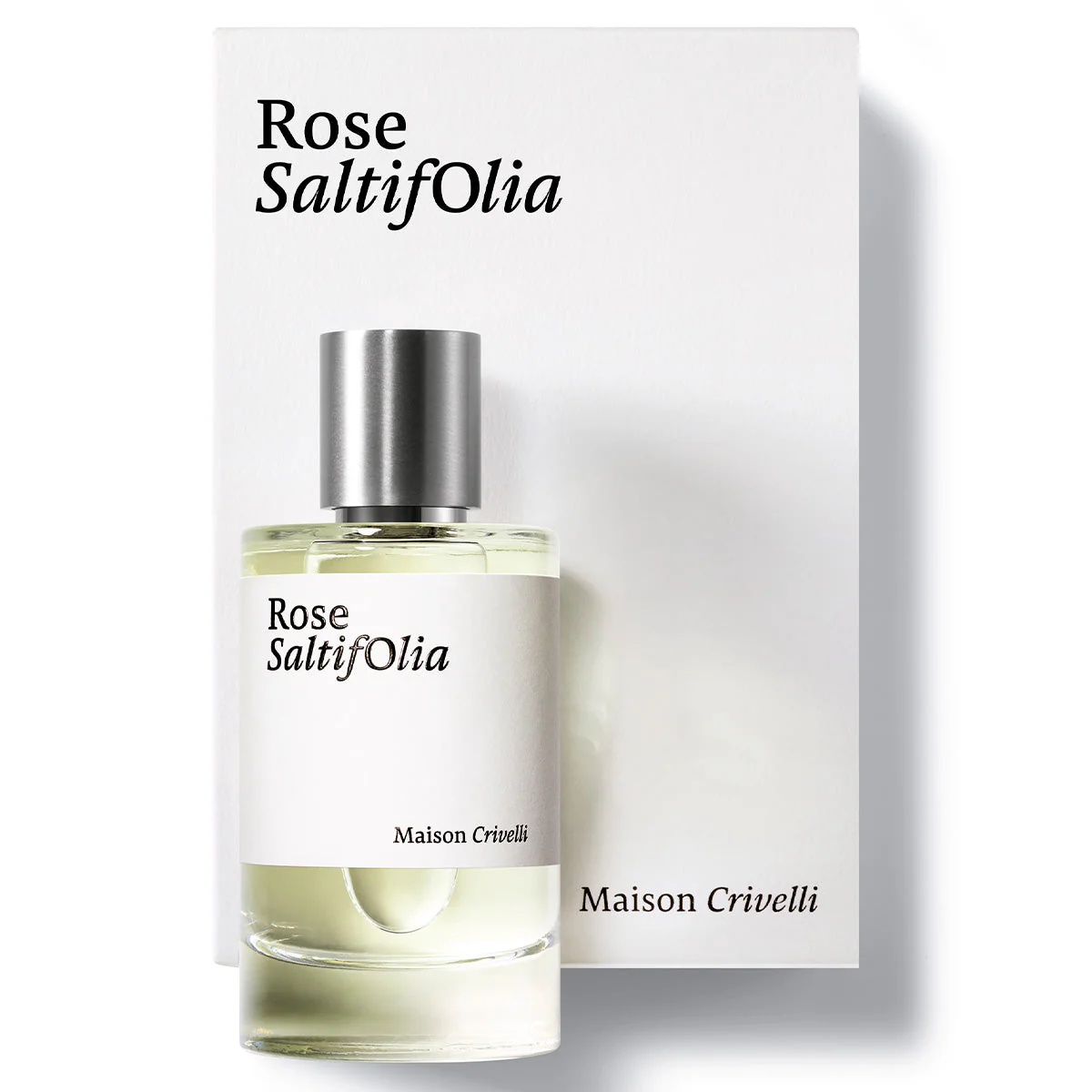 Rose SaltifOlia
