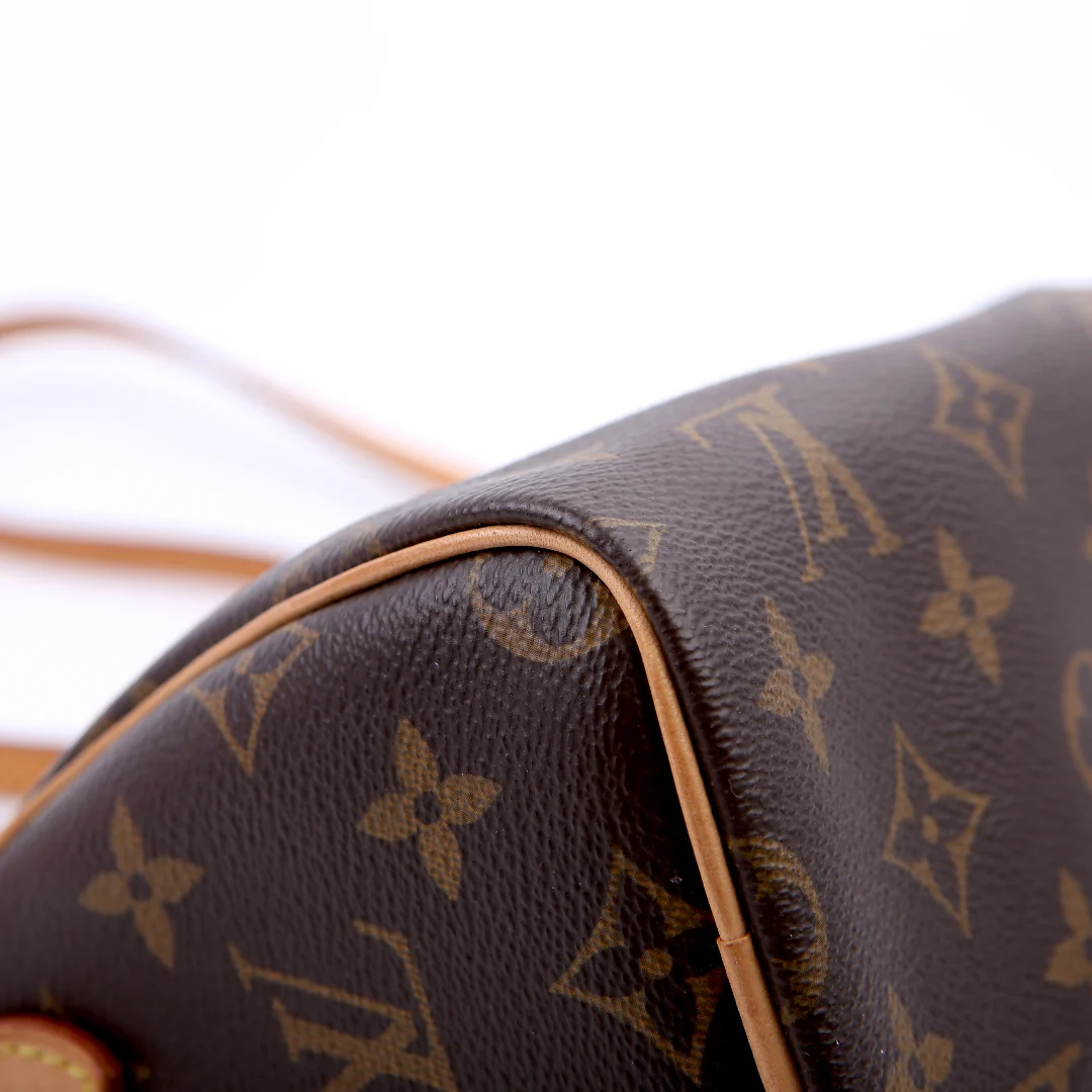 Nano Speedy Monogram