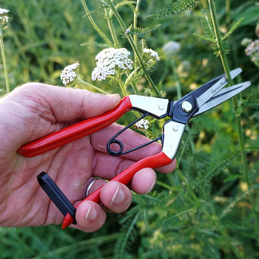 Pair of Handy Gardening Pruners