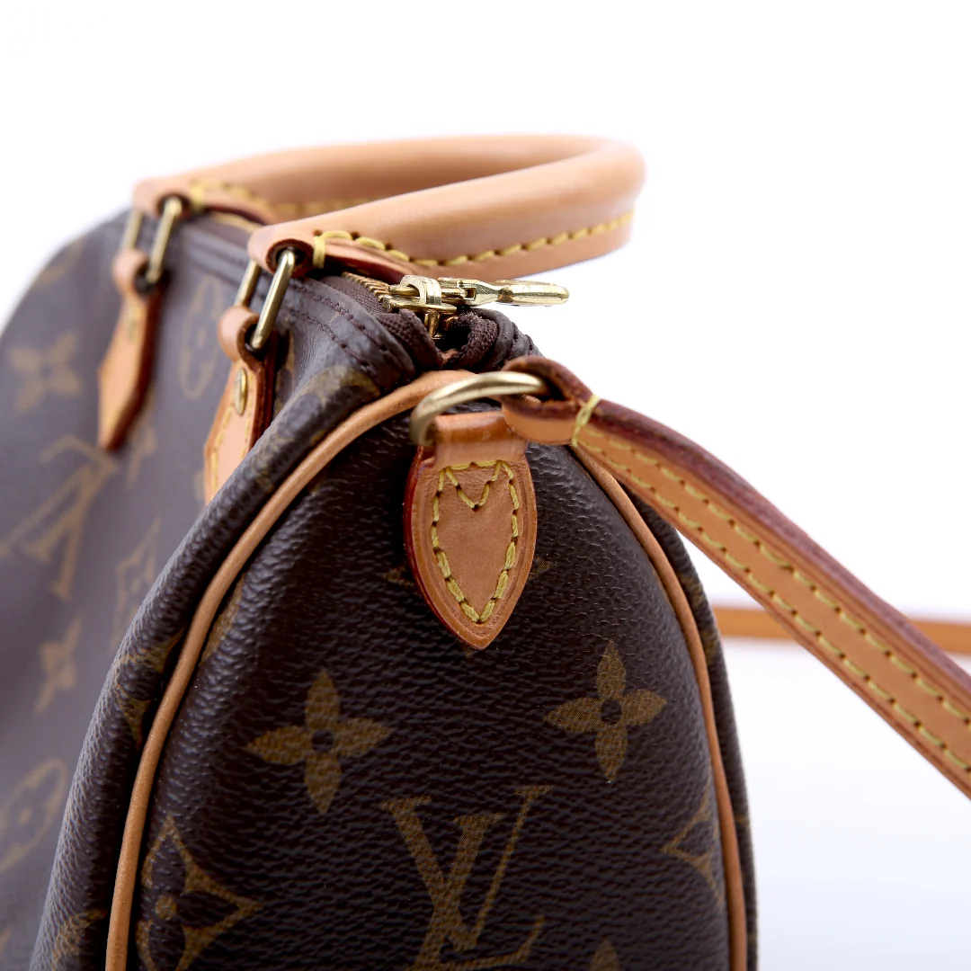 Nano Speedy Monogram