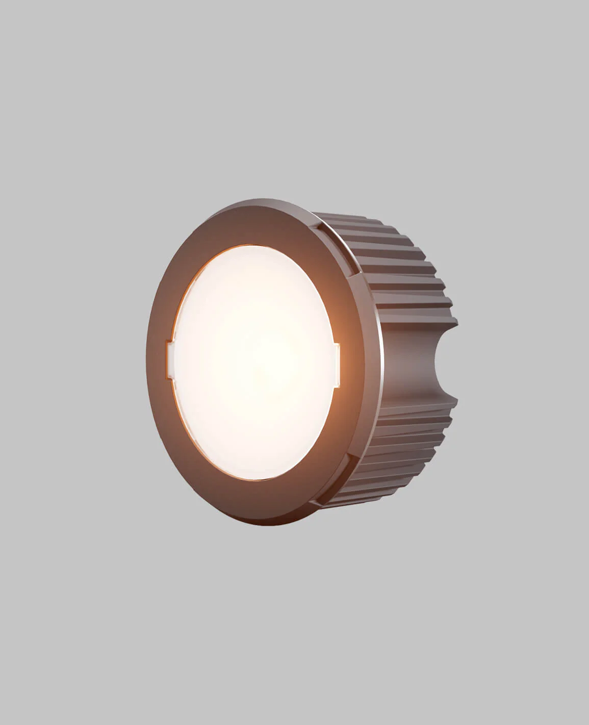 Light Module