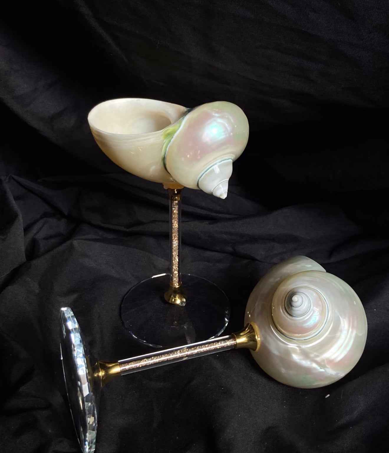 Magnificent Conch Sea Shell Wine Glass | Handmade Coastal Decor