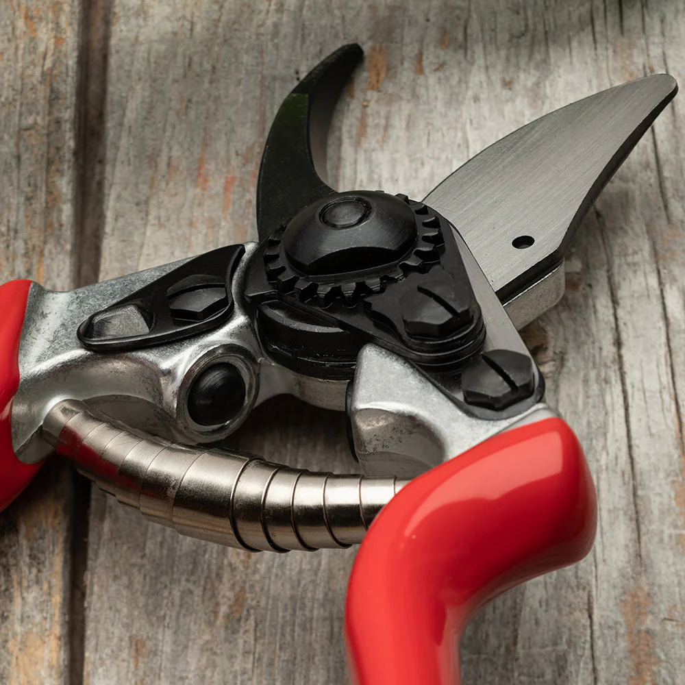 Everyday Go-To Pruners