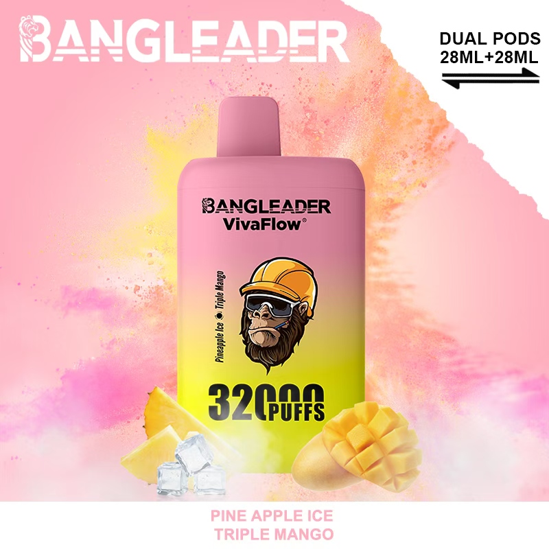 [Minimum order of two]Bang Leader 32K Puffs 2-in-1 Prefilled Vape | Dual Flavor,  Rechargeable