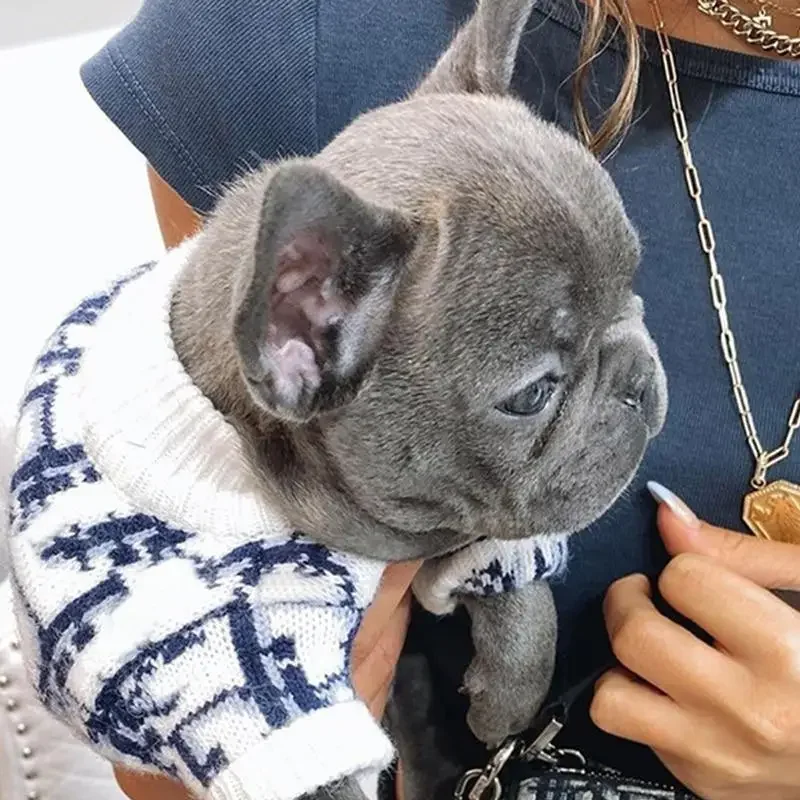 Pet Soft Wool Outfit