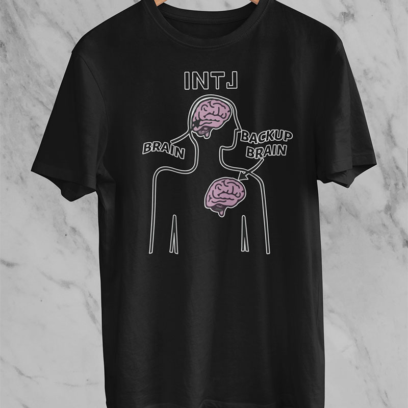 MBTI MEMES - INTJ's In A Nutshell T-shirt