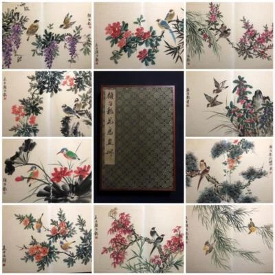 Yan Bolong Signed Chinese Hand Painted Calligraphy Scroll w/flower N2693