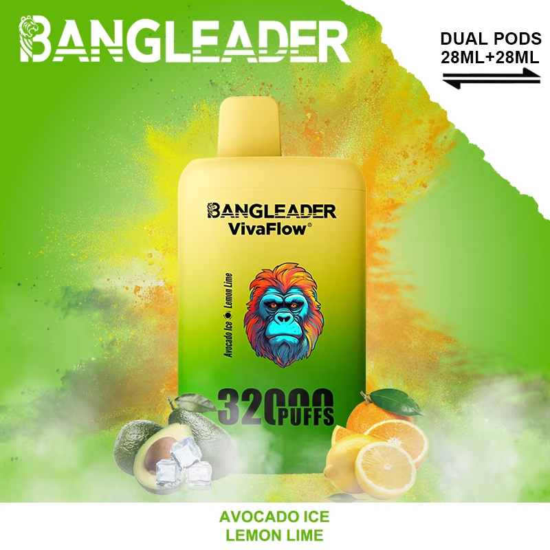 [Minimum order of two]Bang Leader 32K Puffs 2-in-1 Prefilled Vape | Dual Flavor,  Rechargeable