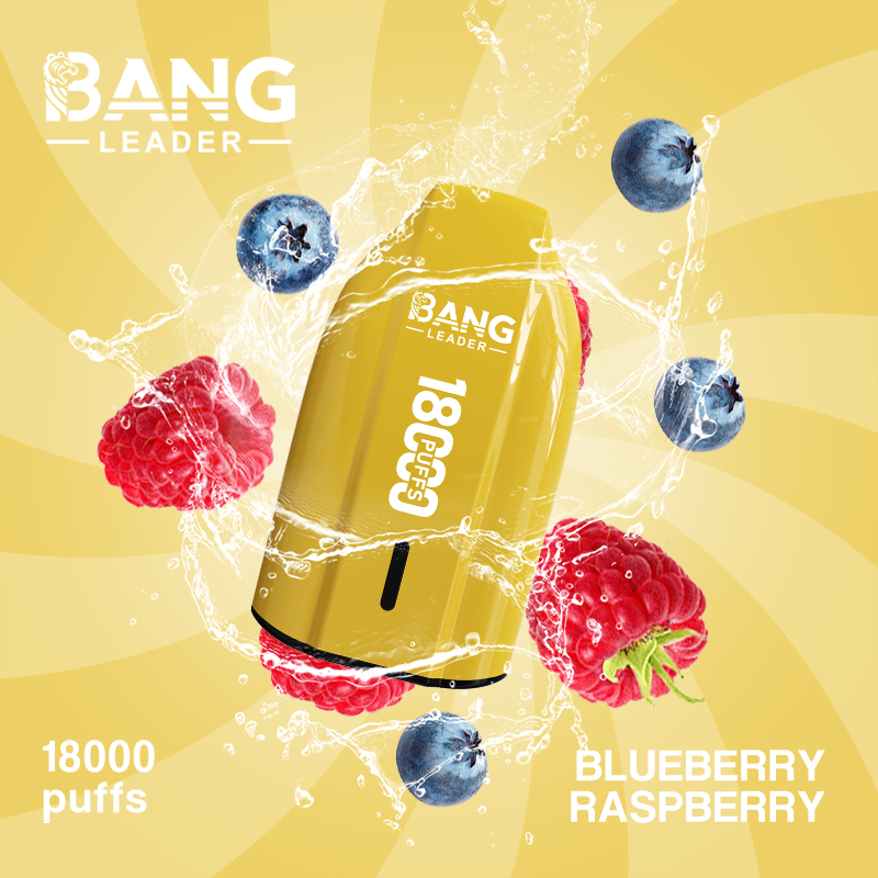 [Minimum order of two]Bang Leader 18K Puffs Prefilled Vape |  Rechargeable