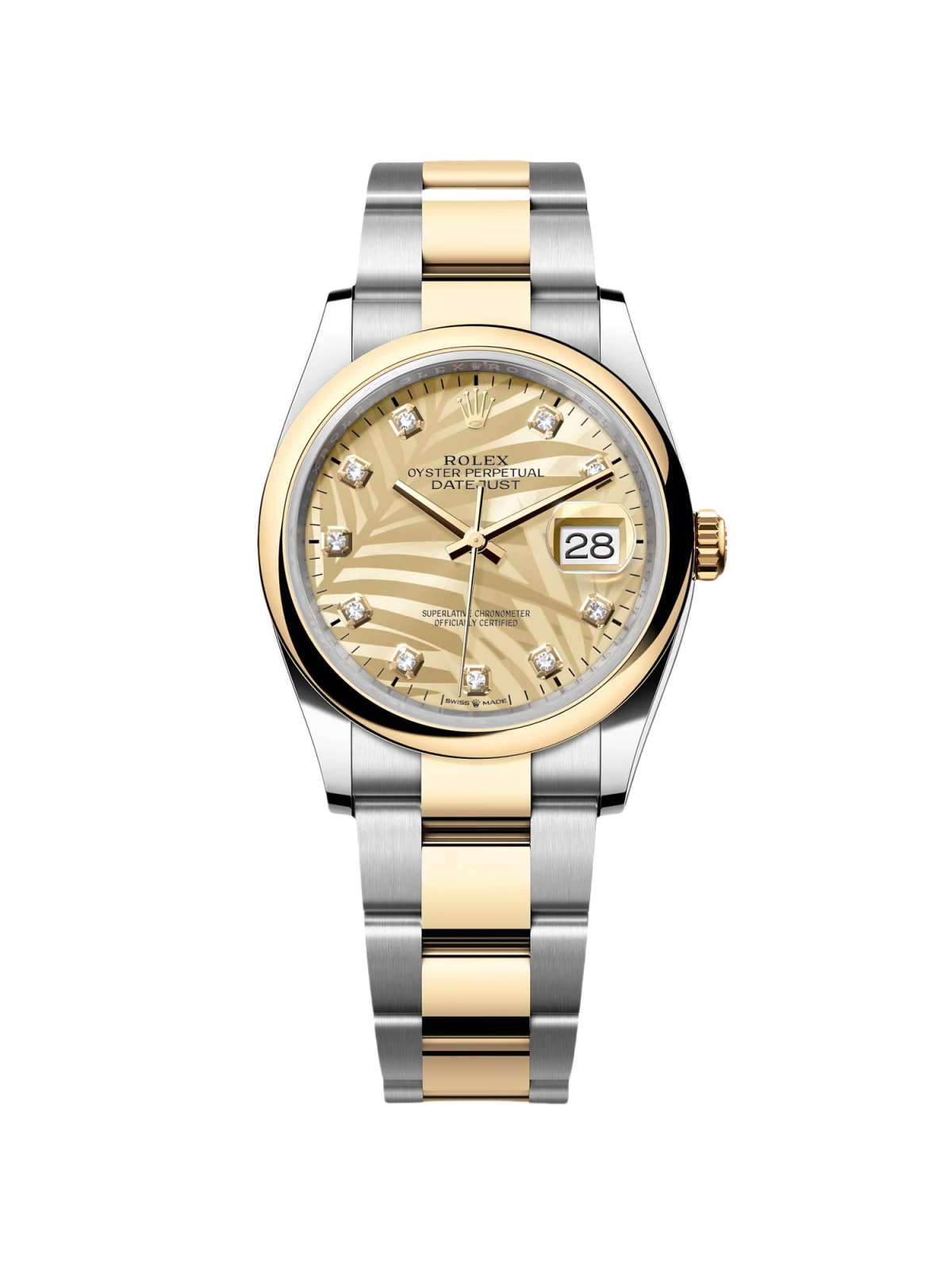 RLX  Datejust 36mm 126203 Golden Palm Dial Domed Bezel Oyster Bracelet