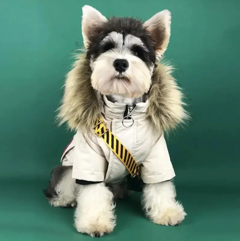 Warm Pet Apparel