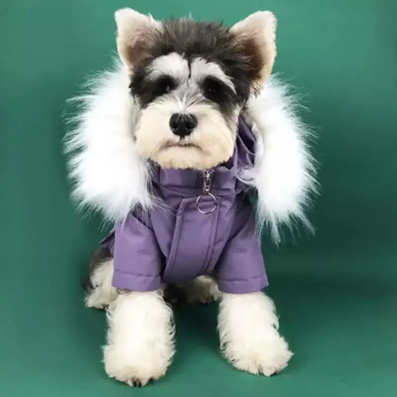 Warm Pet Apparel