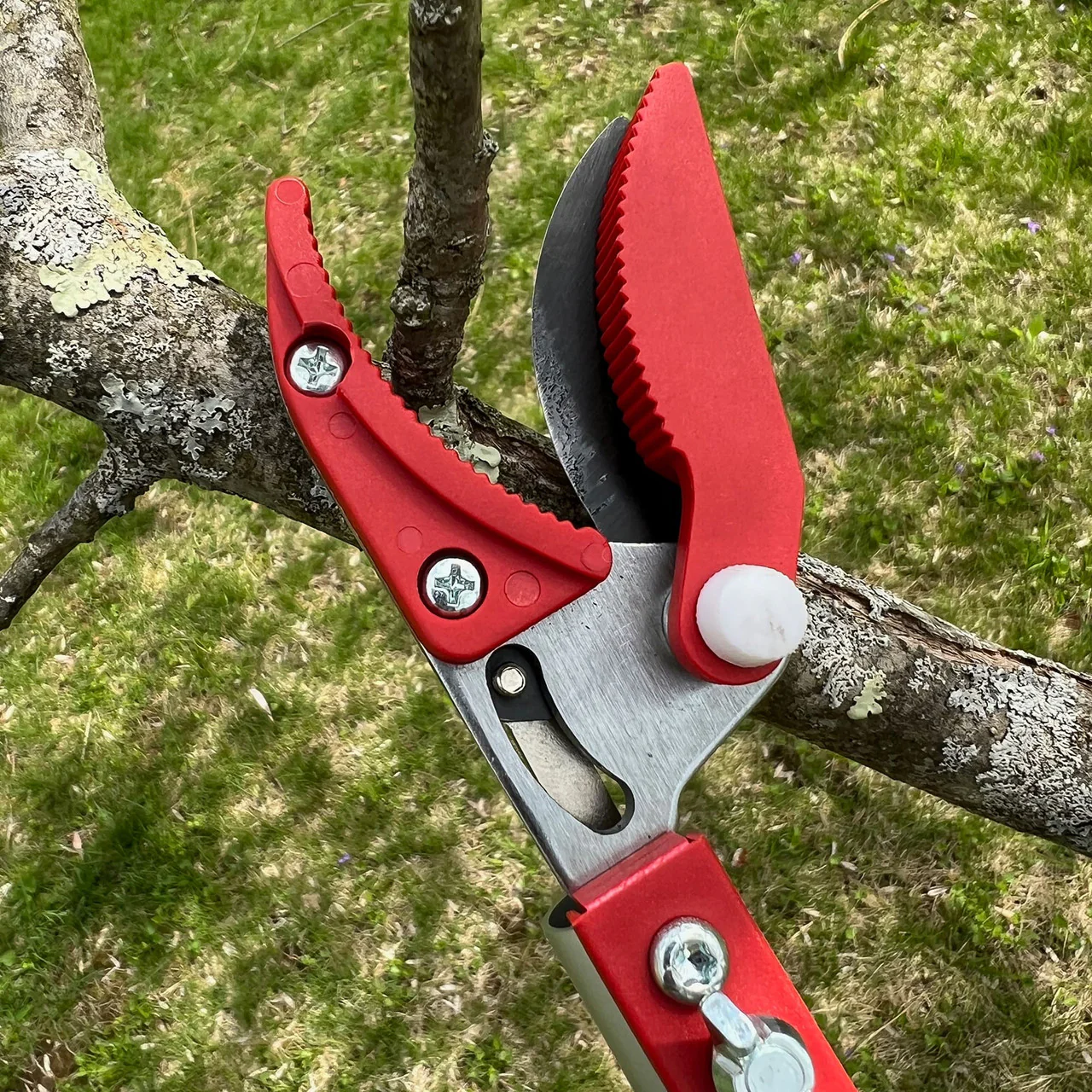 Long Reach Pruner (Extends to 5 Feet)
