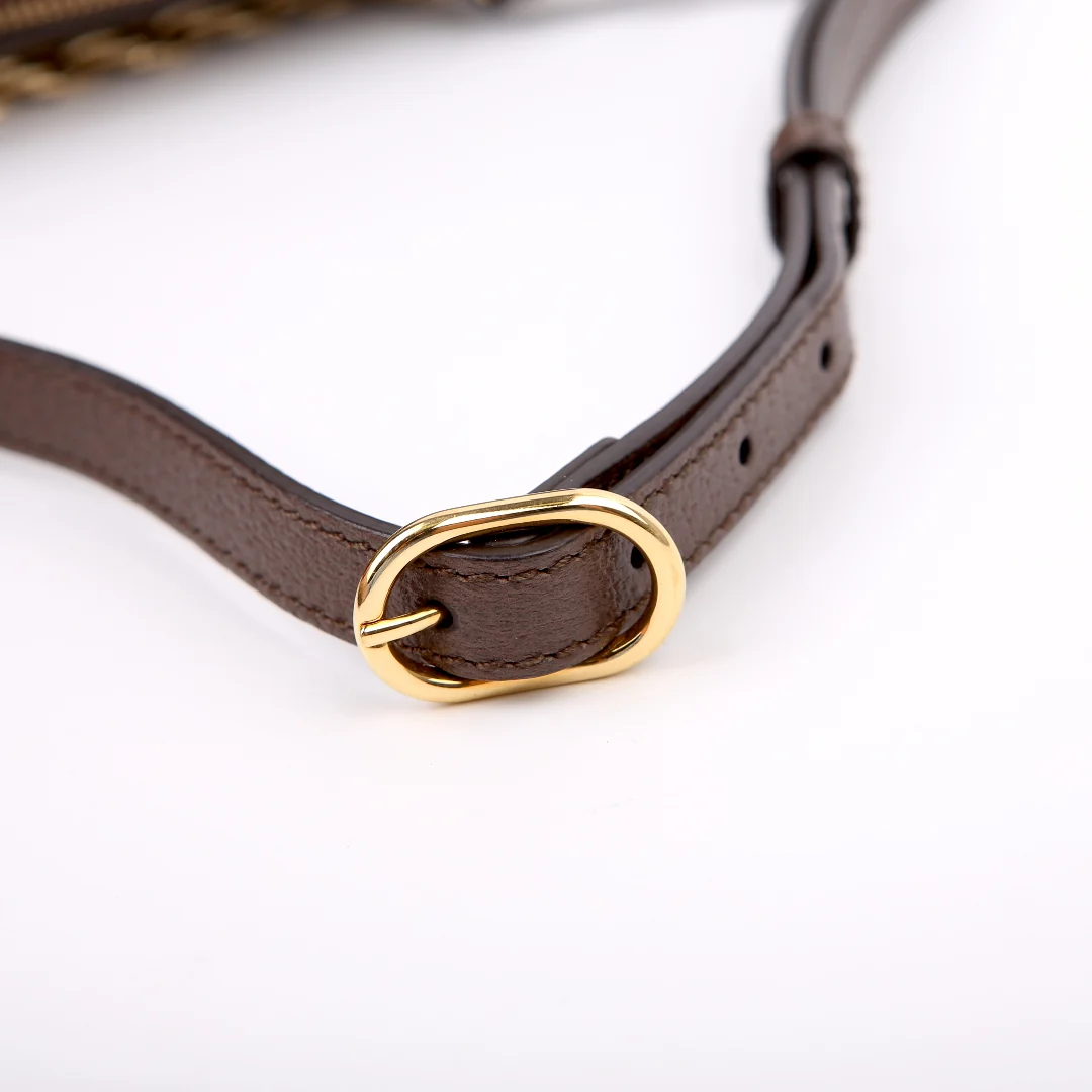 795194 GG Supreme Ophidia Web Barrel Shoulder Brown