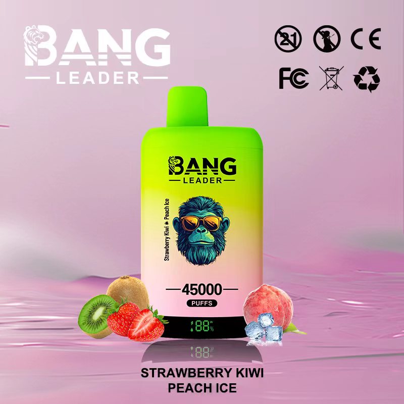 [Minimum order of two]Bang Leader 45K Puffs 2-in-1 Prefilled Vape | Dual Flavor,  Rechargeable