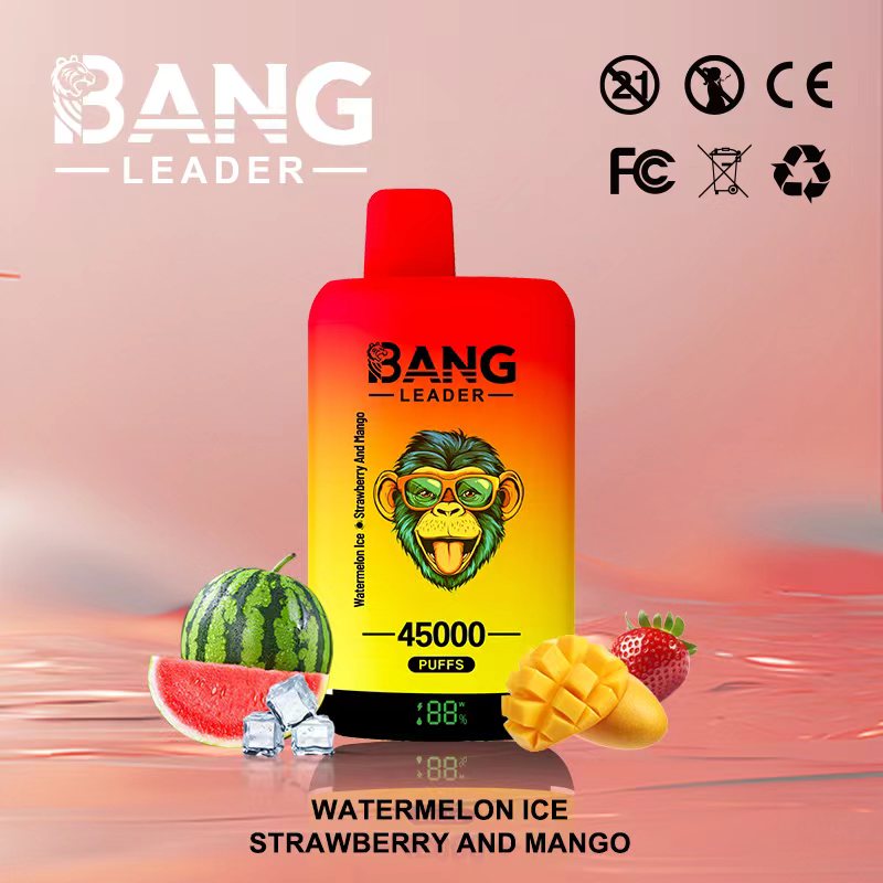 [Minimum order of two]Bang Leader 45K Puffs 2-in-1 Prefilled Vape | Dual Flavor,  Rechargeable