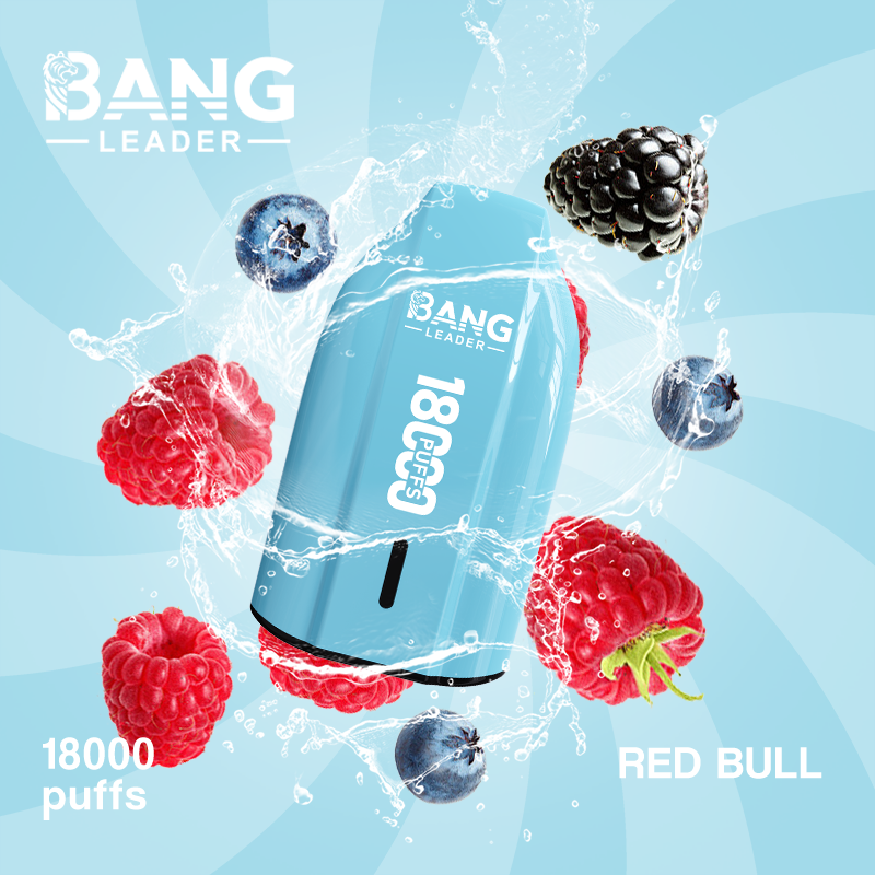 [Minimum order of two]Bang Leader 18K Puffs Prefilled Vape |  Rechargeable