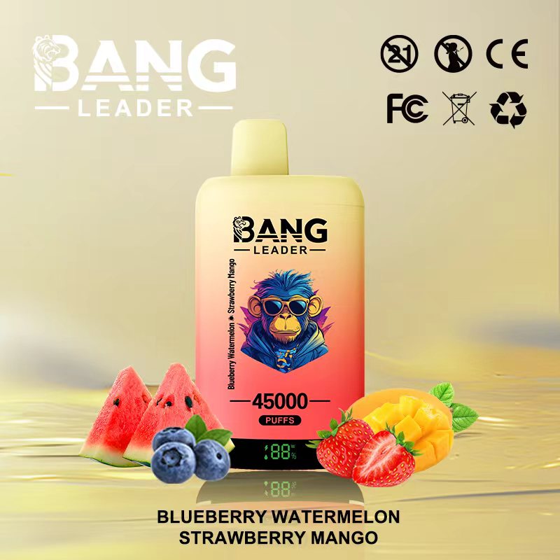 [Minimum order of two]Bang Leader 45K Puffs 2-in-1 Prefilled Vape | Dual Flavor,  Rechargeable