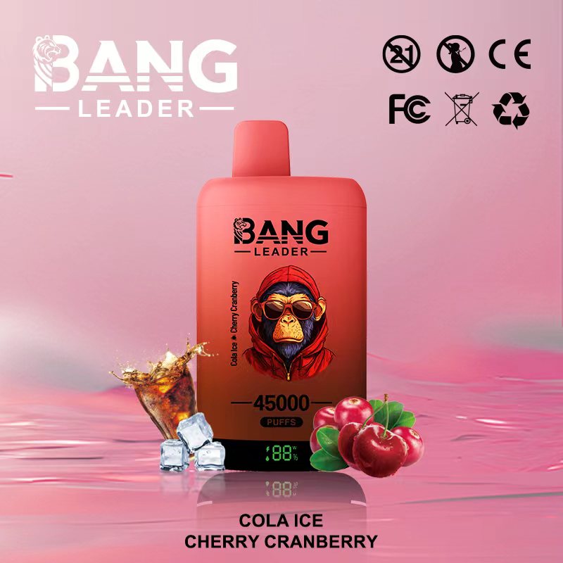 [Minimum order of two]Bang Leader 45K Puffs 2-in-1 Prefilled Vape | Dual Flavor,  Rechargeable