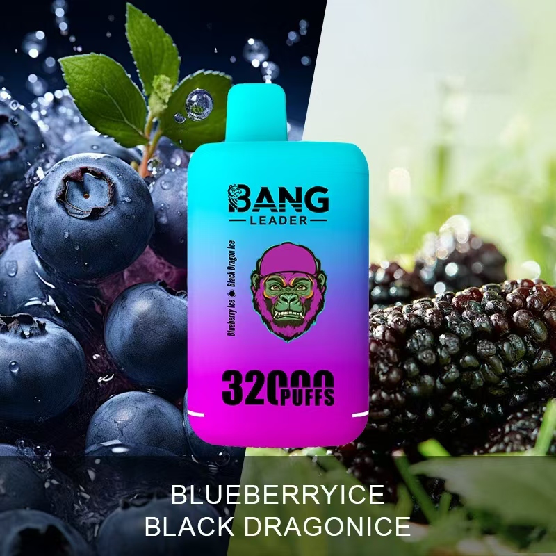 [Minimum order of two]Bang Leader 32K Puffs 2-in-1 Prefilled Vape | Dual Flavor,  Rechargeable