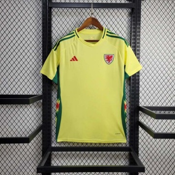 2024 Wales awayFootball Shirt 1:1 Thai Quality
