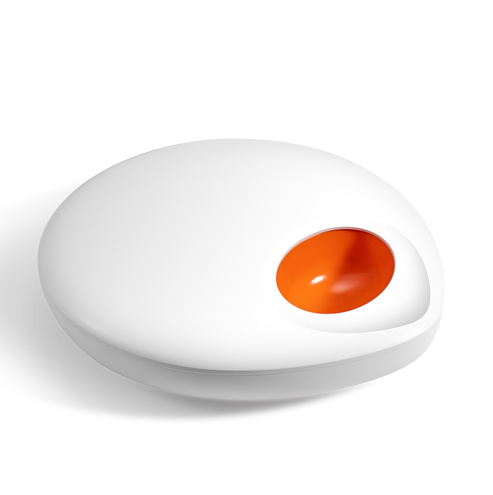 Intelligent pet feeder