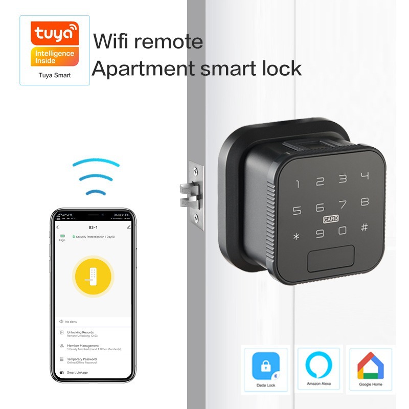 WiFi Smart Door Lock