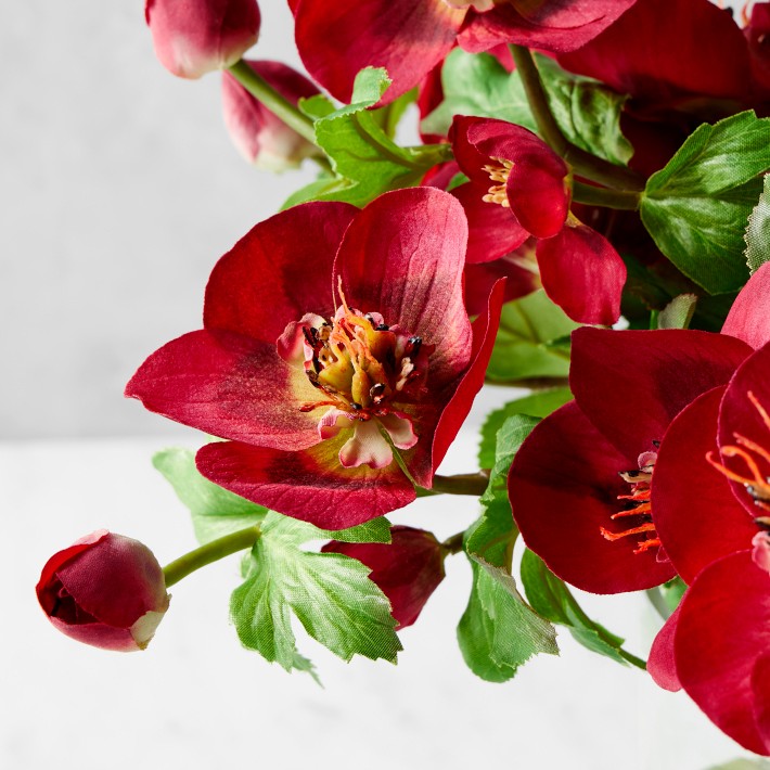AERIN Real Touch Faux Red Hellebores Arrangement
