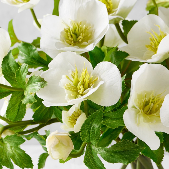 AERIN Real Touch Faux White Hellebores Arrangement